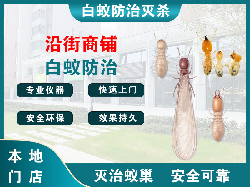 新北沿街商铺白蚁防治