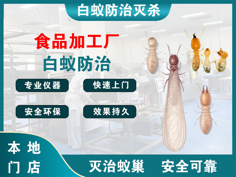 新北食品加工厂白蚁防治