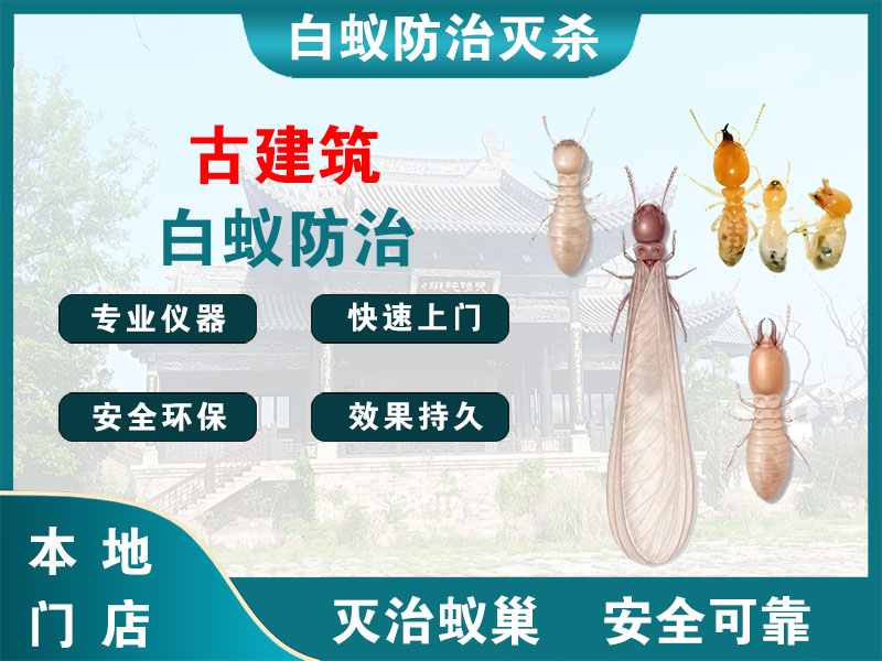 新北古建筑白蚁防治