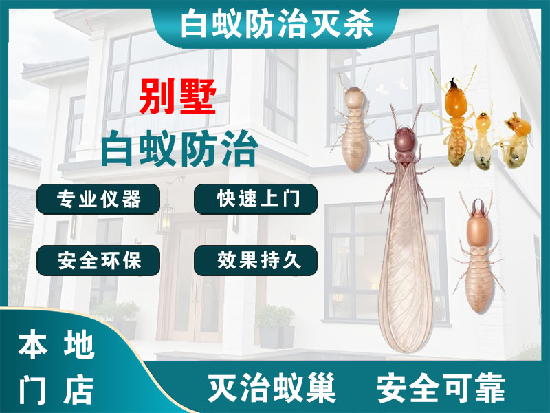 新北别墅白蚁防治